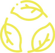 bio-icon-yellow